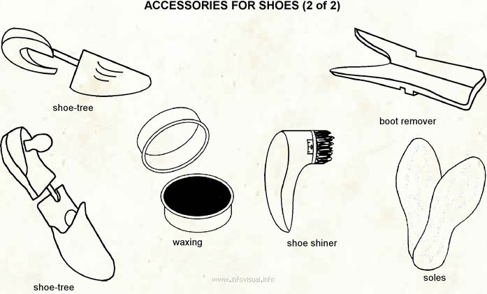 Accessories for shoes 2